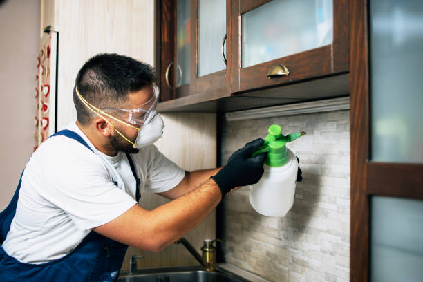  West Slope, OR Pest Control Pros