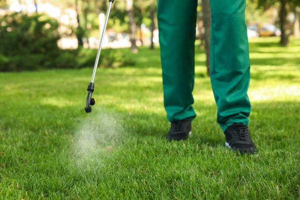 Best Pest Inspection Near Me  in West Slope, OR