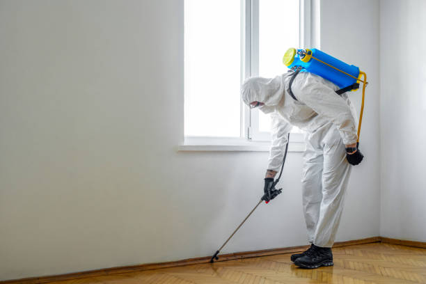 Best Pest Removal Services  in West Slope, OR