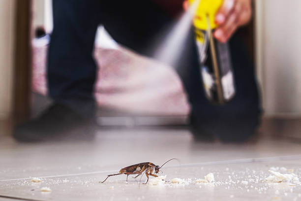 Best Pest Prevention Services  in West Slope, OR