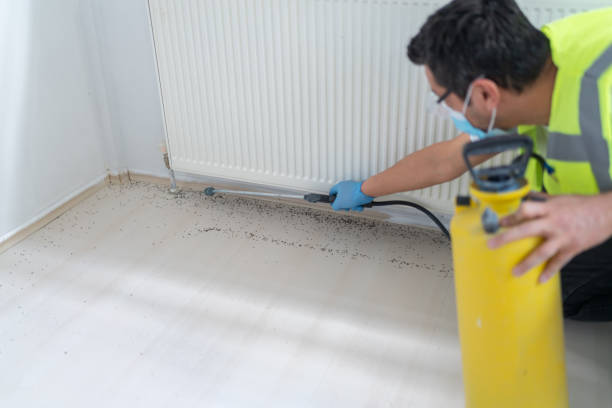 Best Local Pest Control Services  in West Slope, OR