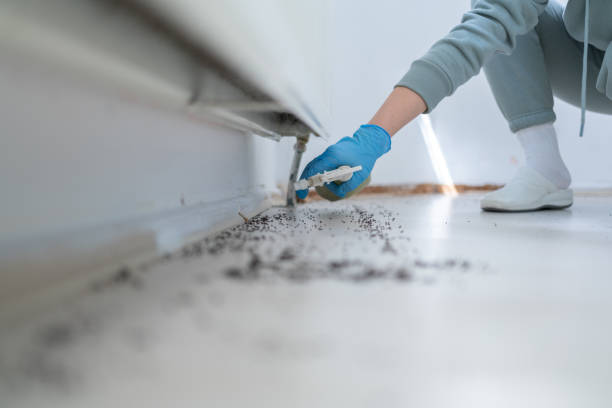 Best Cockroach Control Services  in West Slope, OR